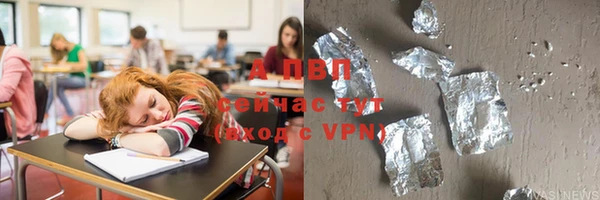 прущие грибы Абинск