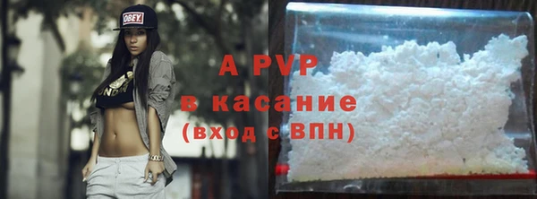 прущие грибы Абинск