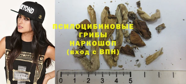 твердый Абаза