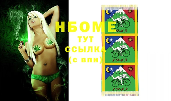 прущие грибы Абинск
