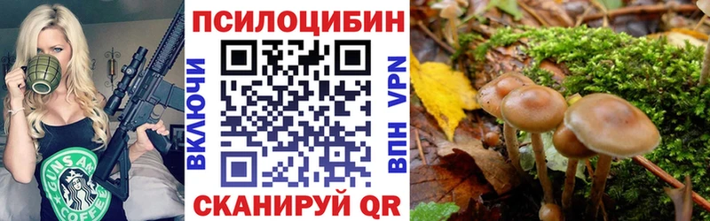 Псилоцибиновые грибы мухоморы Норильск
