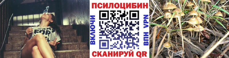 Псилоцибиновые грибы мицелий  Норильск 